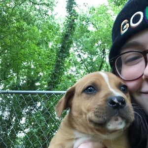 Meet your Posher, Lacy